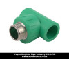 ppr pipe tee with male thread