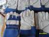 AA GRADE Cow gsplit leather.Full palm.Working glove.Blue100% cotton fabric.Half lining.With Kevlar lining
