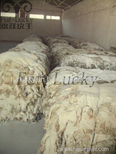 high quality sheep skin