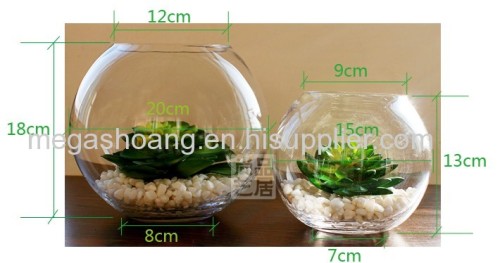 Transparent glass vase fashion home decor furnishings aquarium