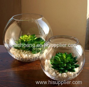 Transparent glass vase fashion home decor furnishings aquarium