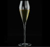 C&C Champagne Glass Hand Made Borosilicate Glass 260ml
