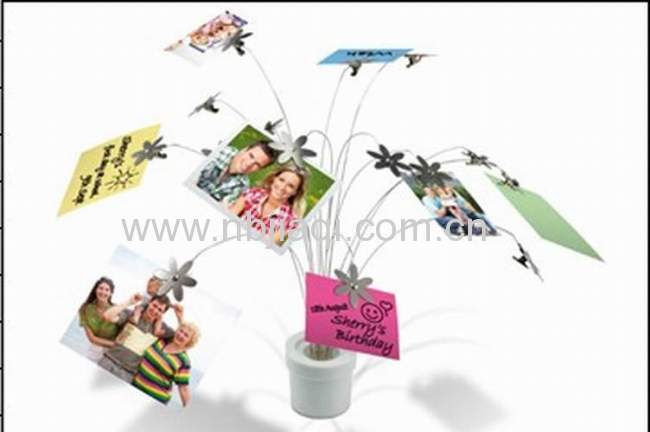 HOT SELL photo tree organizer