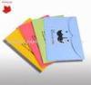 Colorful Paper File Folder , UV Coating Cardboard File Pocket