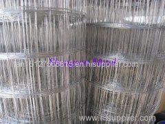 galvanized welded wire mesh