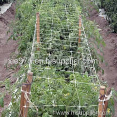 Nylon trellis netting allows for a productive garden