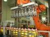 Carton Bottle Packaging Machine