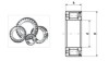 SL183004 series full complement cylindrical roller bearing