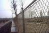 Low Carbon Stee, Stainless Steel Diamond / Square Welded Wire Mesh Fences For River Banks
