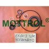 EX60-2 SWING MOTOR SEAL KIT