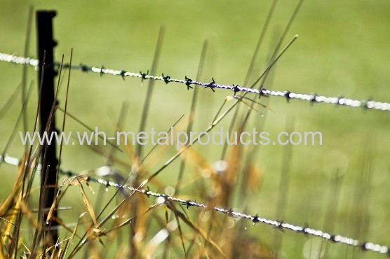 ranch barbed wire fence