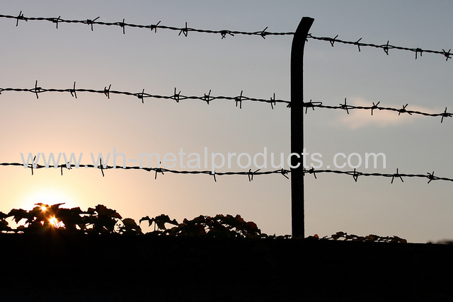 ranch barbed wire fence