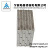 Rare earth segment and arc neodymium magnet