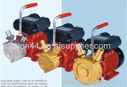 BEM diesel oil pump