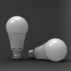 6W A60 LED standard bulb