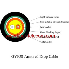 Armored fiber optic cable 2-cores