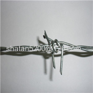 ISO Plastic coated & Galvanized Barbed Wire