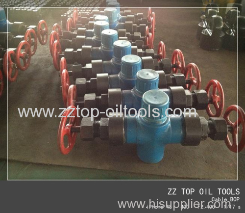 Wellhead polish rod BOP 3000 psi