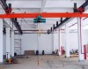 Material handling machinery-Suspension crane