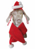 Christmas style pet hat and scarf set