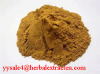 Reishi Mushroom Extract/ Standard herbal extract