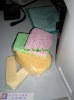 the sponge growth in the water/cleaning sponge