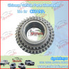 PINION FOR CHANA VAN