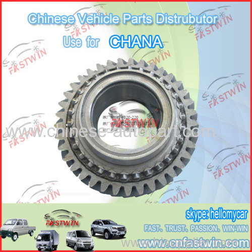 PINION FOR CHANA VAN