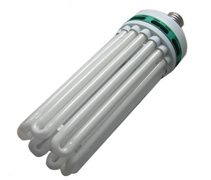 Energy Saving Compact Fluorescent Bulb