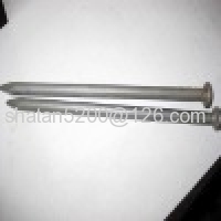 Cheap common wire nail