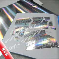 New Special Glossy Holographic Destructible Vinyl,Glossy Silver Column Holographic Destructive Vinyl Materials,Hologram