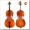 Professional Entry-leverl Flamed Advanced Cello (CH100D)