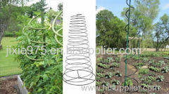 Cattle Panel Tomato Cages Are Sturdy and Easy to Pick Tomatoes