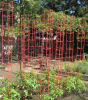 Heavy Duty Rigid Plastic Tomato Cages - Defense Against Squirrels