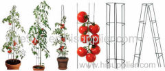 Heavy Duty Tomato Stakes from Galvanized or PVC Steel Tube