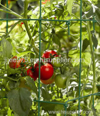 Spiral Stake Support as A Climbing Aid for Tomatoes and Cucumbers