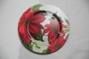 chrismas plastic plate /charge plate