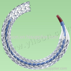 Sirolimus Eluting Coronary Stent System