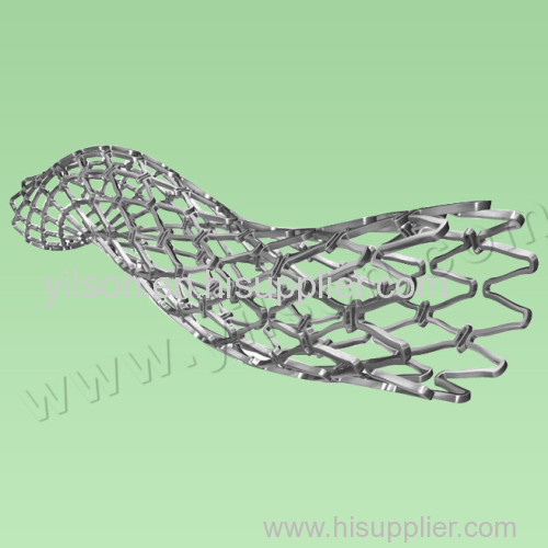 Cobalt-Chromium Coronary Stent system