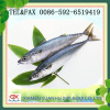 Frozen Pacific Mackerel Fish