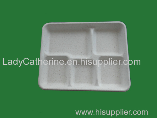 biodegradable tableware/disposable sugarcane tray