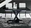 Personality Fashion Taste Home Furnishing Dining Table