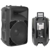 12-inch Two Way Portable Speaker System Professional Speaker