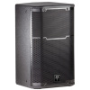 12-inch Two-way Stage Monitor and PA Loudspeaker System