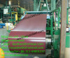 Print/desinged Prepainted Galvanized Steel Coil