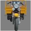 Bajaj Auto Rickshaw cargo pickup van motor tricycle BA150ZH-DP
