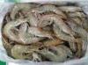 Vannamie HOSO/HLSO shrimps Available