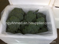 Fresh Egyptian High quality Broccoli