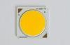 5000K 24W COB LED With Genesis LED Chip , Surface Light Source