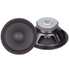 12&quot; Paper Cone PA Speaker